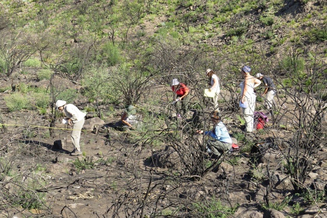 imagen Agrarias colabora en la restauración del Cerro Arco