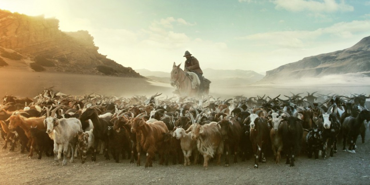 imagen Llega el festival "Graba" al Valle de Uco a través del Cinemóvil