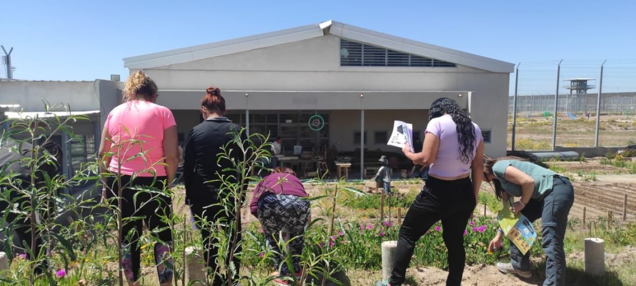 imagen Internos e internas de Almafuerte aprenden jardinería y horticultura