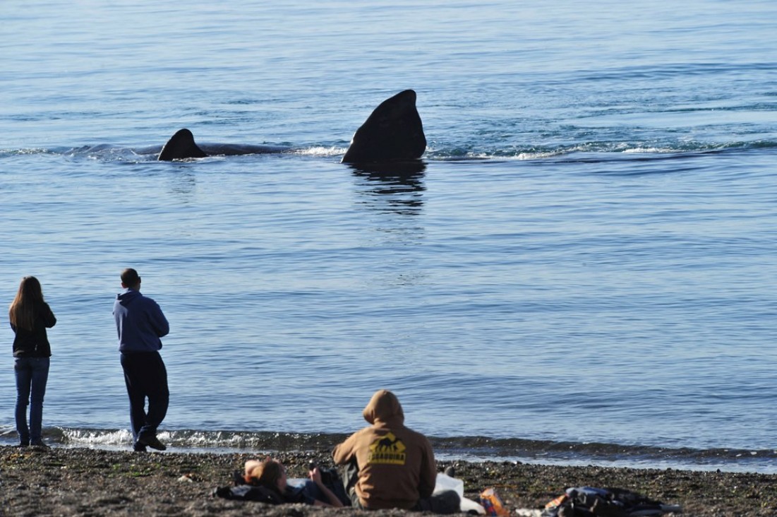 imagen Puerto Madryn: oferta para vacaciones de invierno