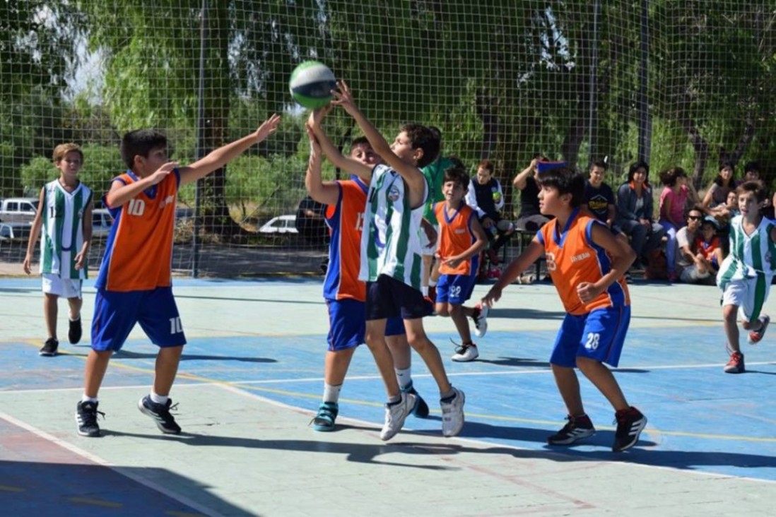 imagen Más de 500 chicos jugarán al minibásquet en la Universidad