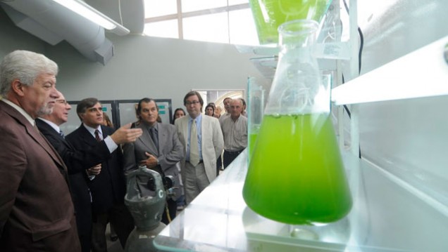 imagen Habilitaron laboratorio para producir biocombustibles a partir de algas 