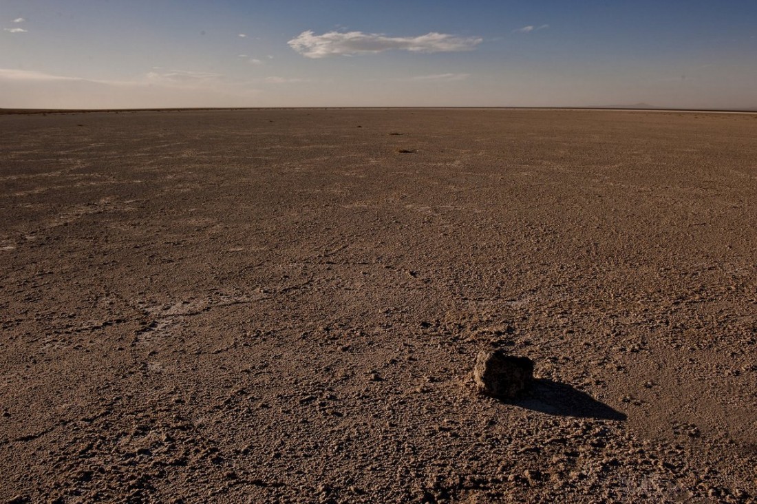 imagen Foro de cambio climático de Naciones Unidas se debate en la UNCUYO