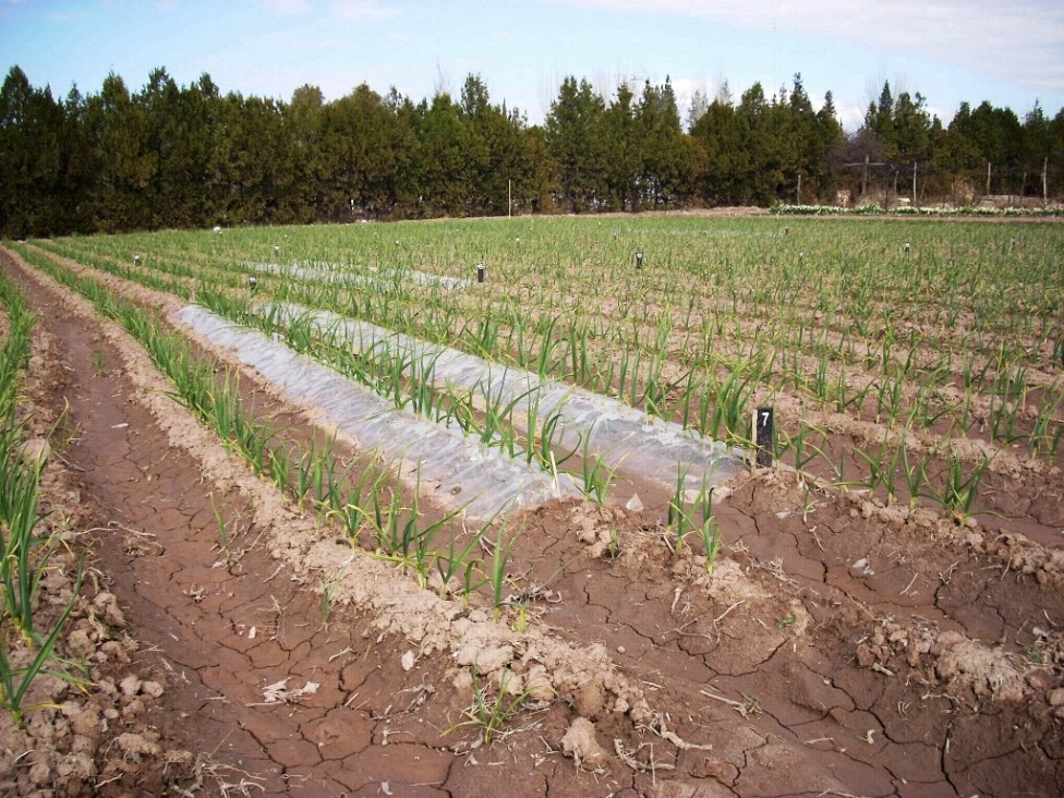 imagen Continúa ciclo de exposiciones sobre biología agrícola