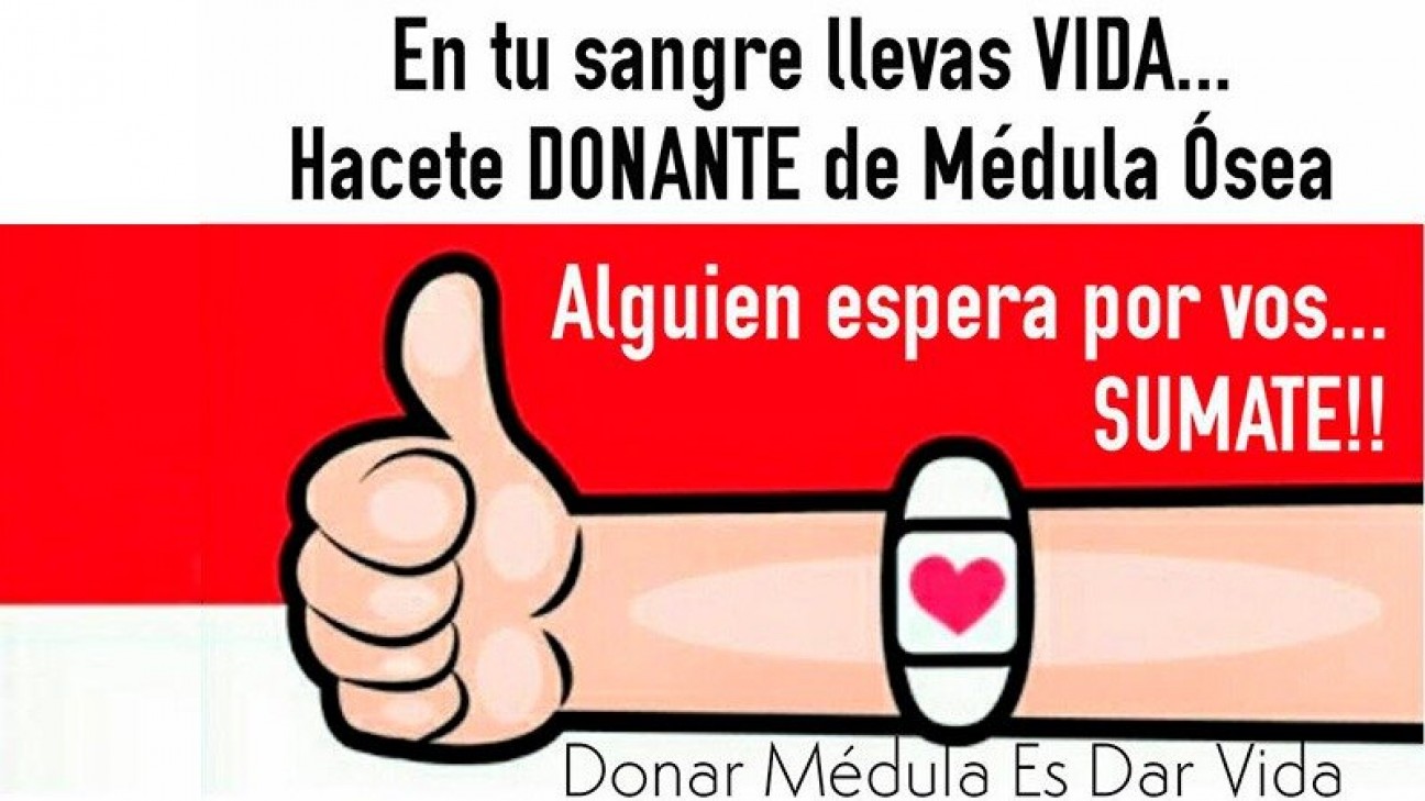 imagen La UNCUYO y el CIN contribuyen a conseguir donante de médula ósea para Olivia