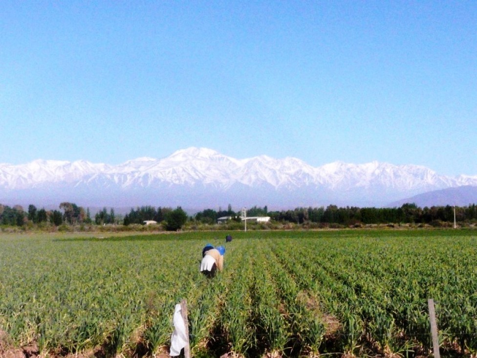 imagen Explicarán el modelo de agricultura sustentable de Knorr