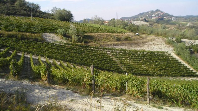 imagen Debaten en la UNCuyo sobre mejoramiento habitacional en zonas vitivinícolas 