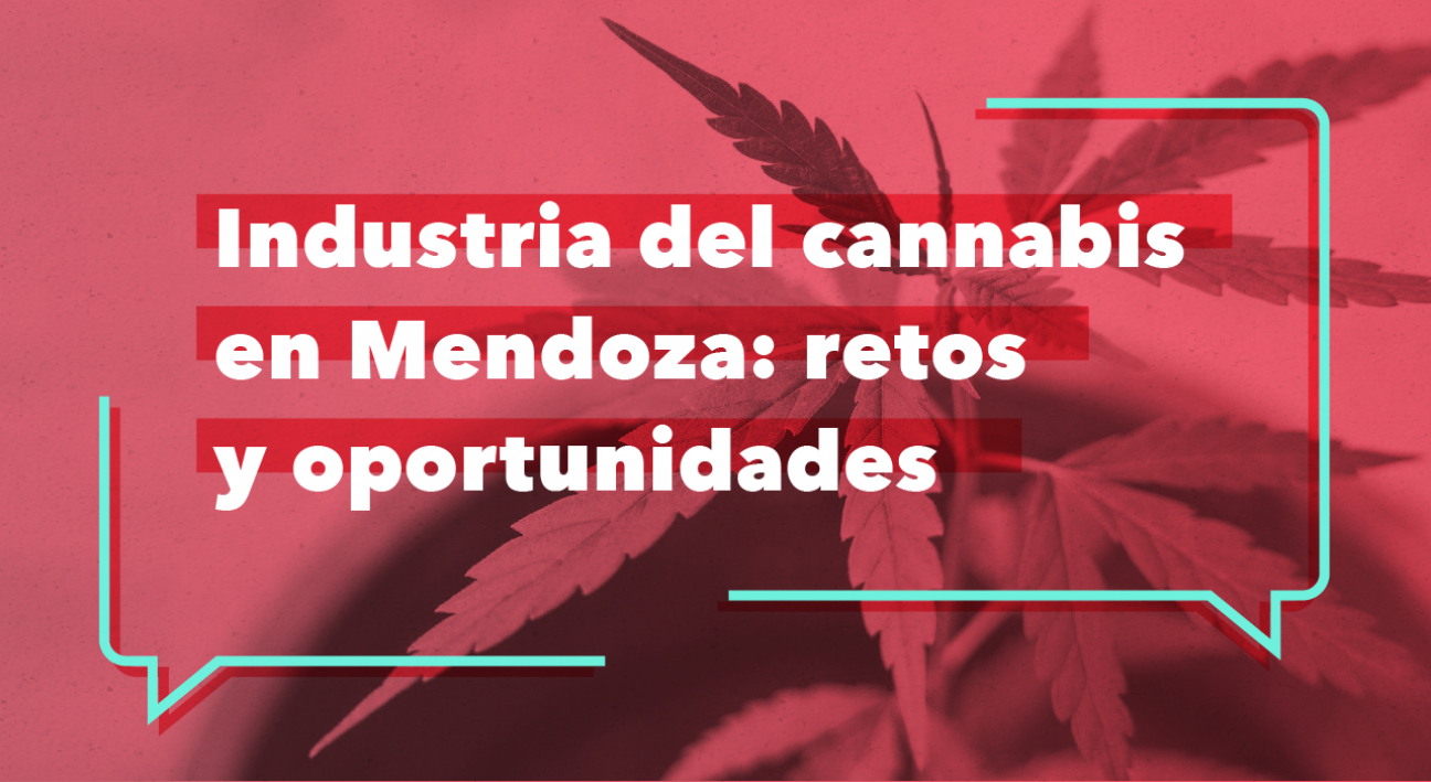 imagen Reflexionarán sobre las potencialidades del uso medicinal del cannabis en la Provincia