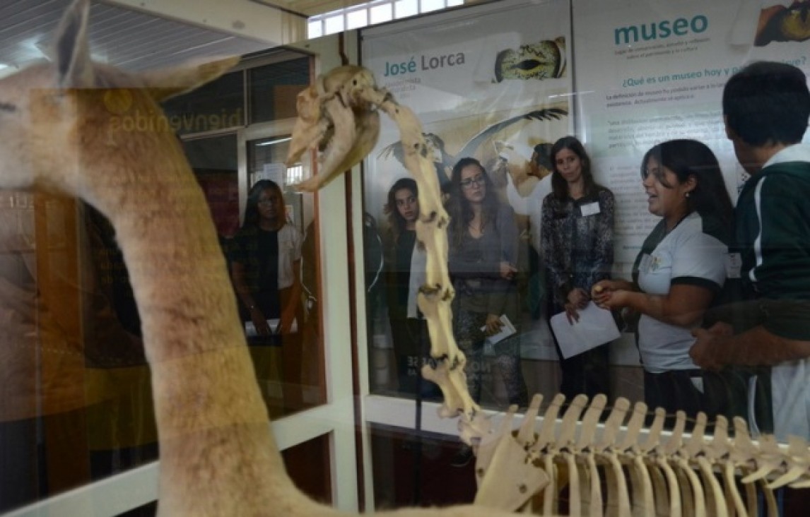 imagen Siete días para aprender ciencia y tecnología