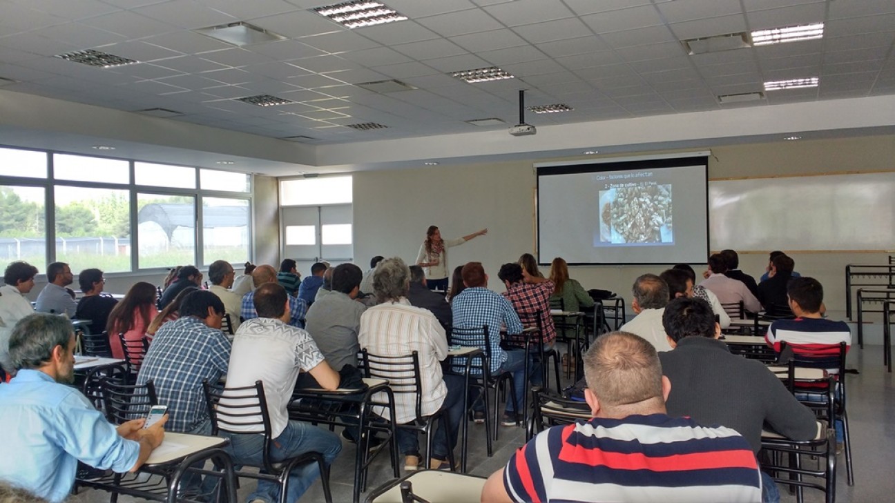 imagen La calidad de frutos secos analizaron en un taller 