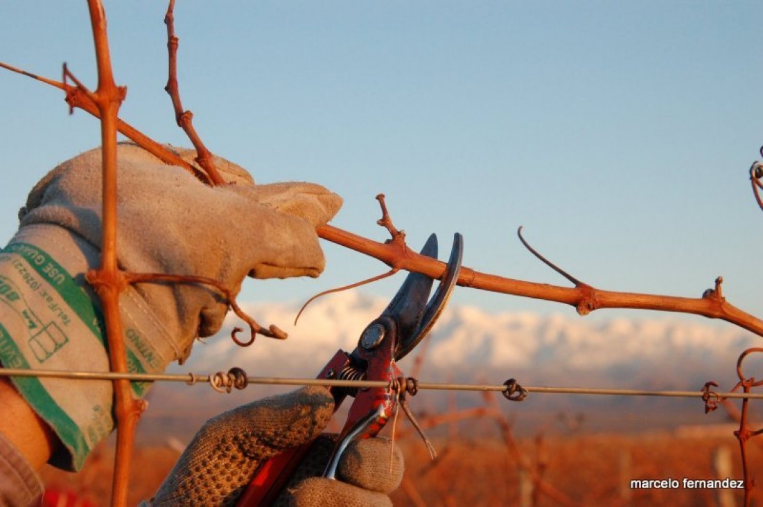 imagen Primer concurso nacional de fotografía sobre el campo