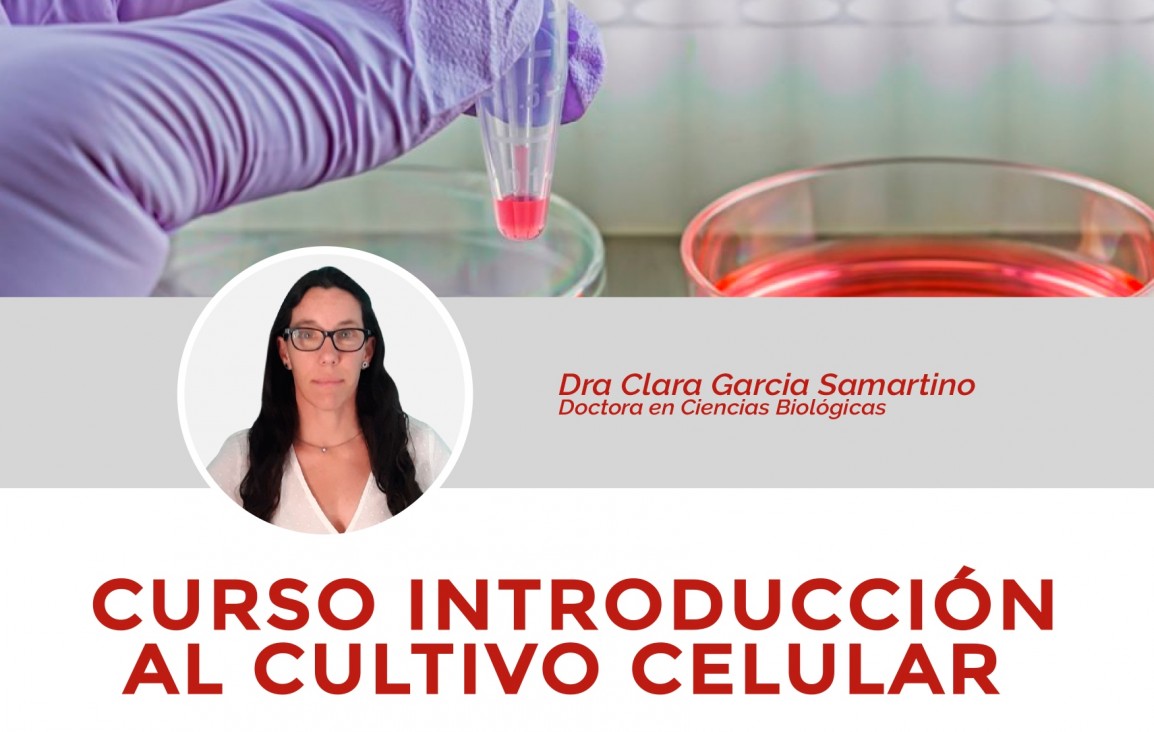 imagen Ofrecen un curso gratuito de Introducción al cultivo celular