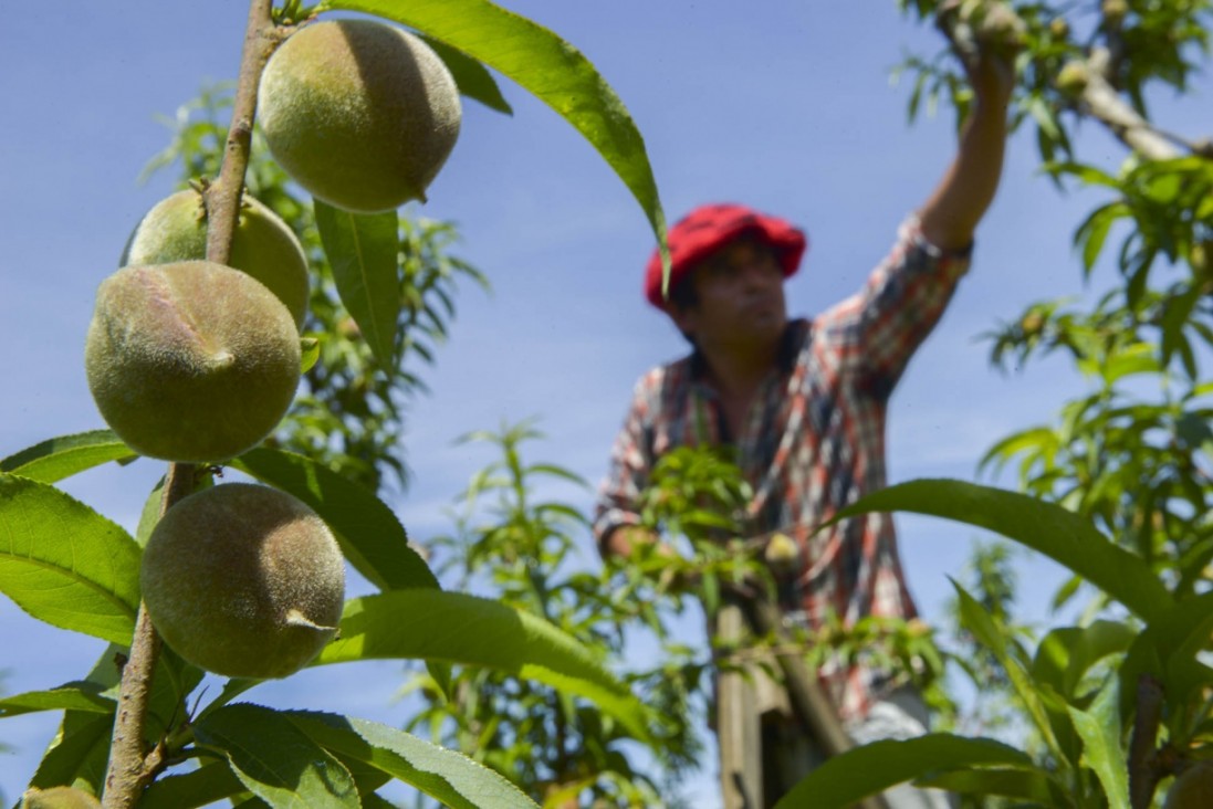 imagen Encargados de fincas podrán actualizar saberes del oficio agrícola