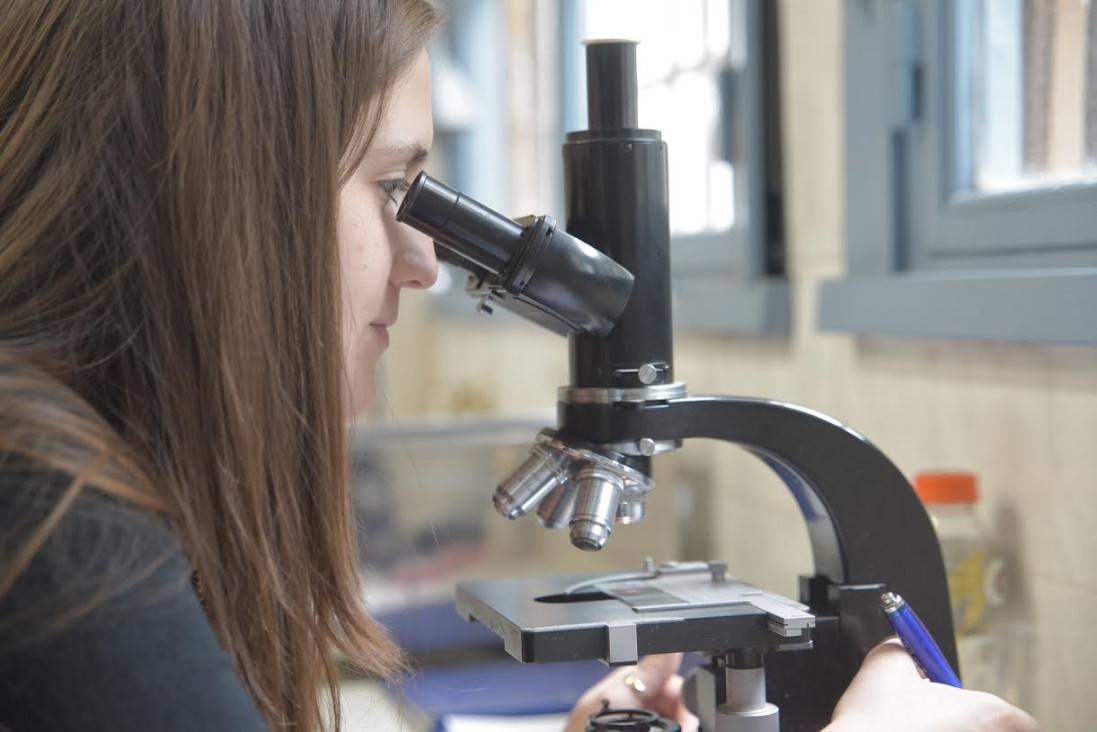 imagen La mujer y la niña en la ciencia: en la UNCUYO representan el 54,9% de la comunidad investigadora