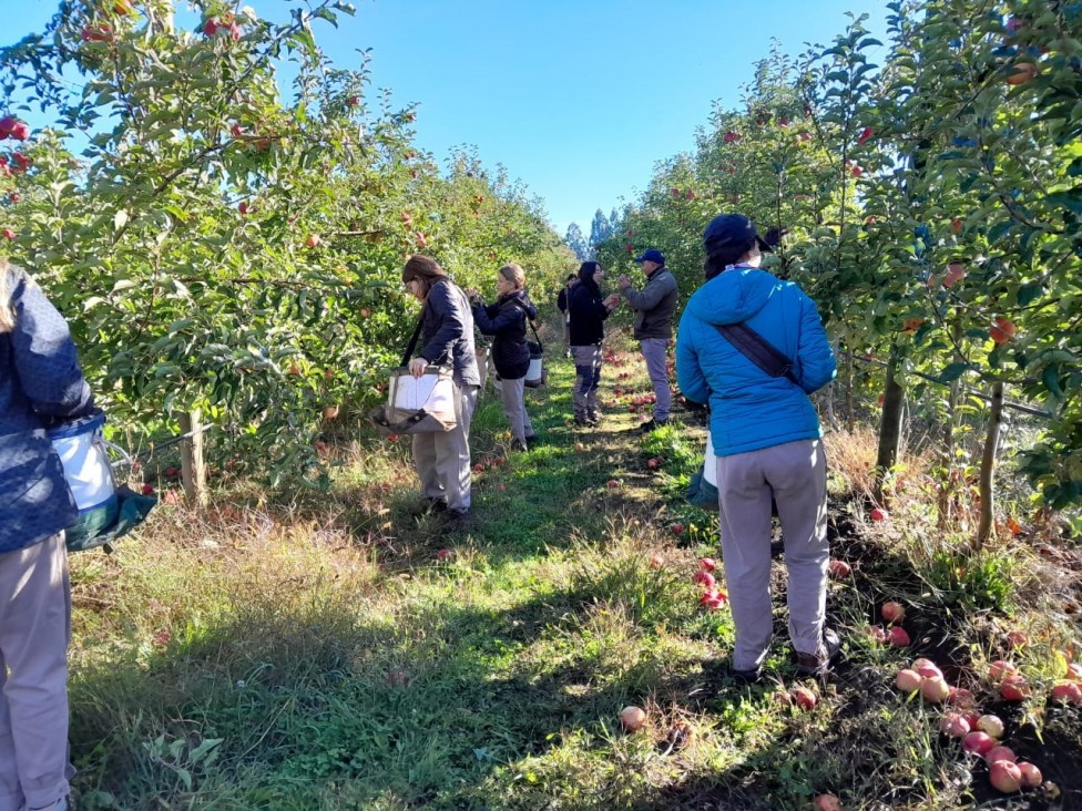 imagen Intercambio estudiantil, una experiencia enriquecedora para la Escuela de Agricultura