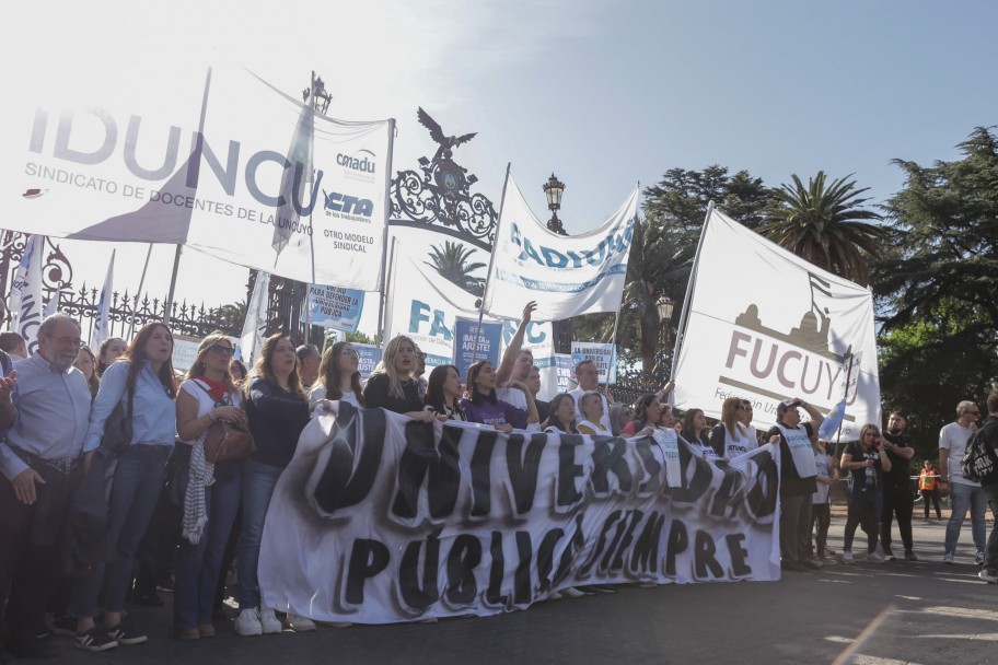 imagen Más de 35 mil personas marcharon por la universidad pública