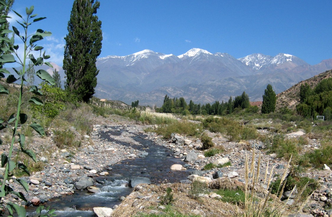 imagen La Universidad reflexiona en el día Mundial del Ambiente