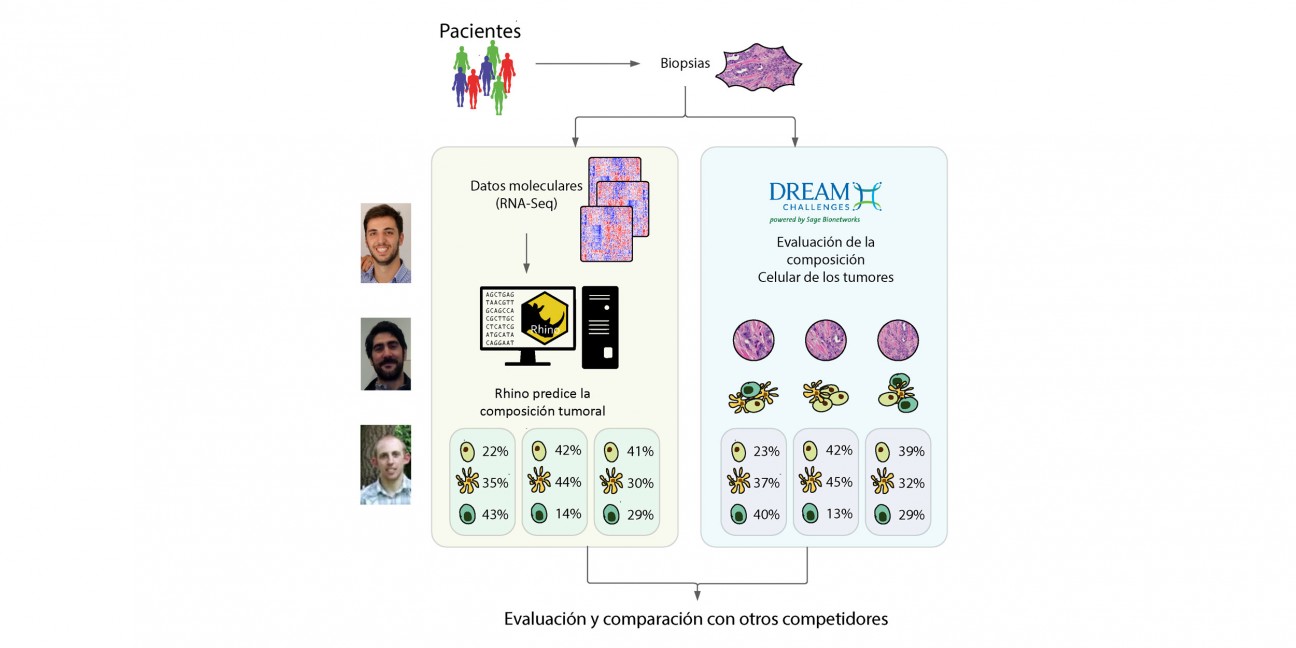 imagen UNCUYO y Harvard se unen para desarrollar novedoso modelo bioinformático