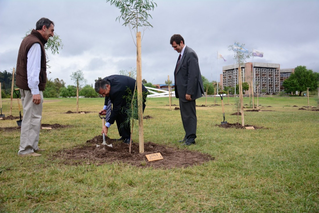 imagen Eucaliptus para "sembrar memoria" en el Paseo de los desaparecidos de la UNCuyo