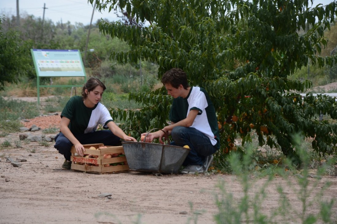 imagen Frutas y verduras donaron a Conin chicos del Liceo Agrícola