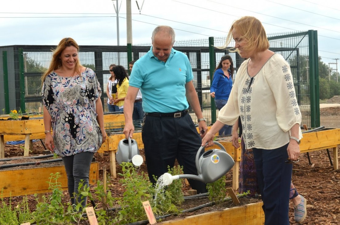 imagen Comedor Ecológico: sin descartables y con huerta orgánica