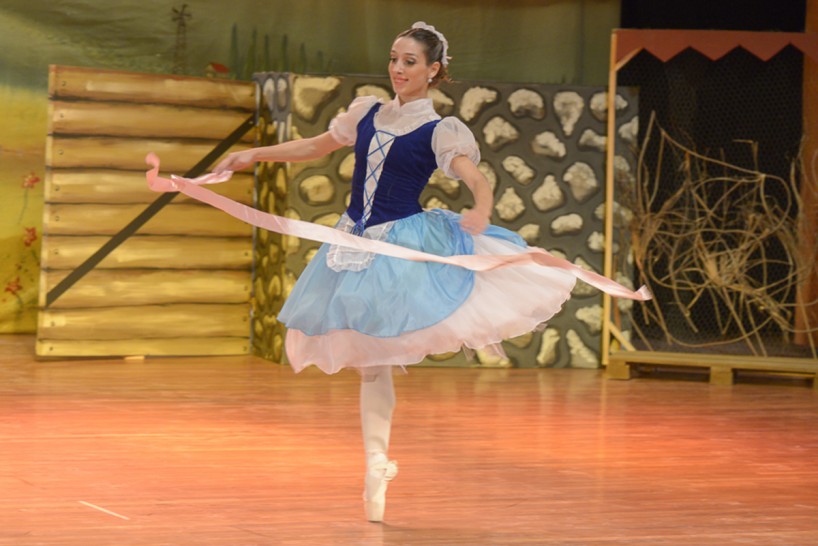 imagen El Ballet llevará su danza a San Carlos