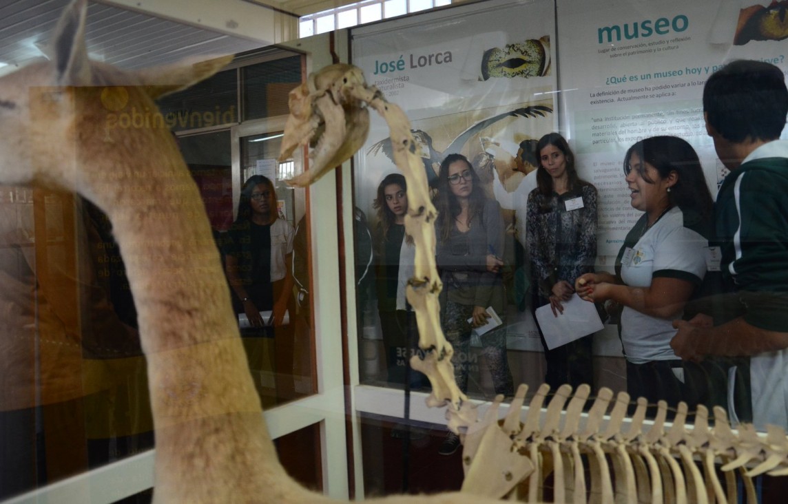 imagen Guías por un día en el Museo del Liceo Agrícola