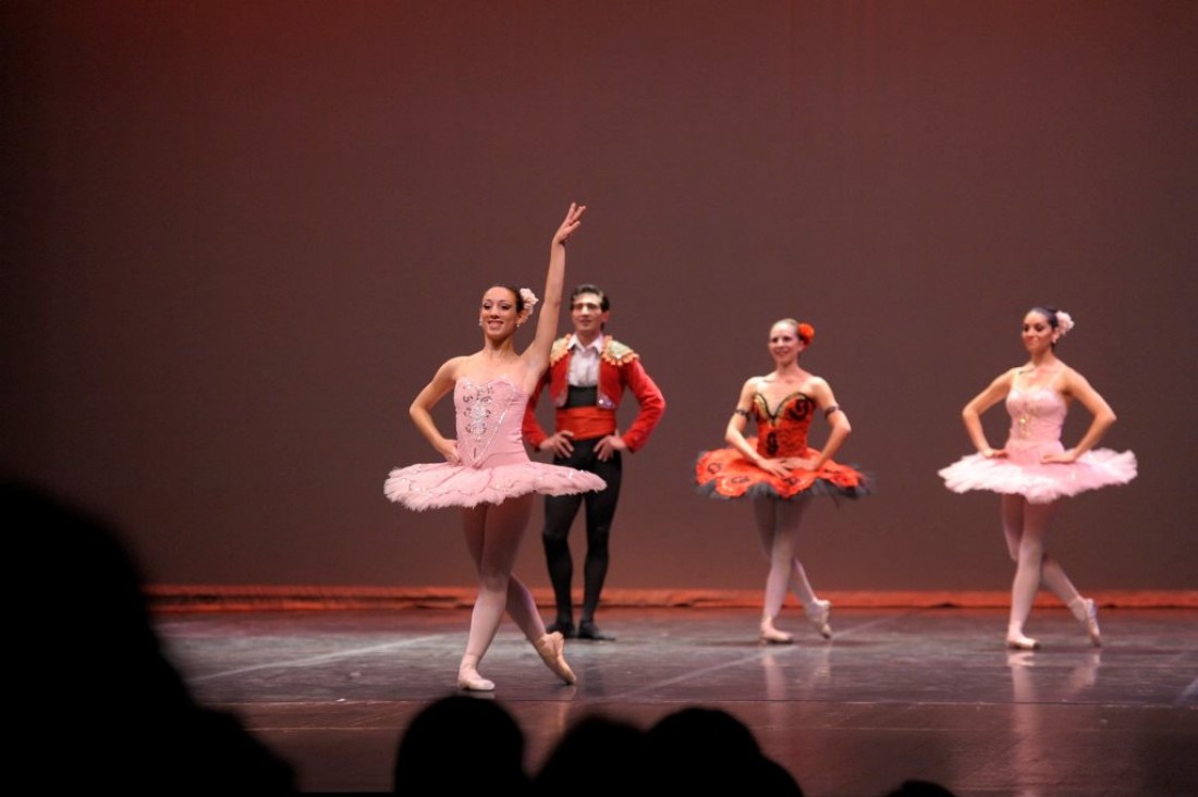 imagen El Ballet ofrecerá un concierto didáctico para escuelas