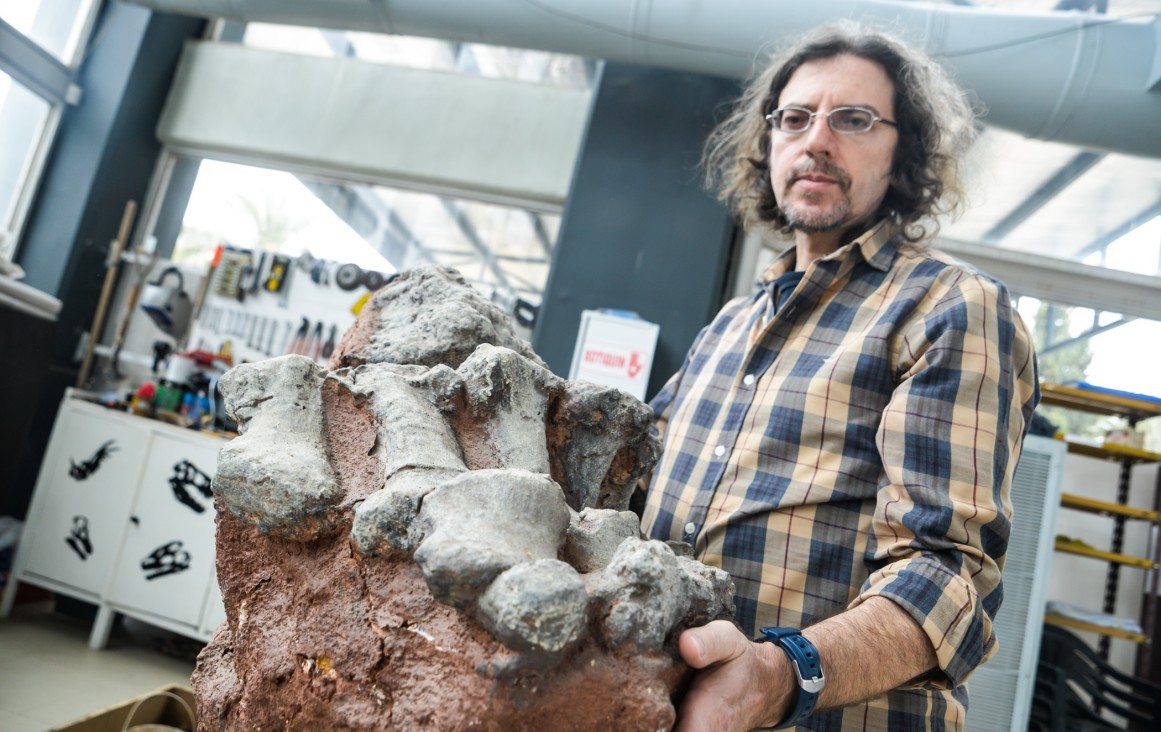 imagen Colossosaurio, el nuevo gigante descubierto en la UNCUYO