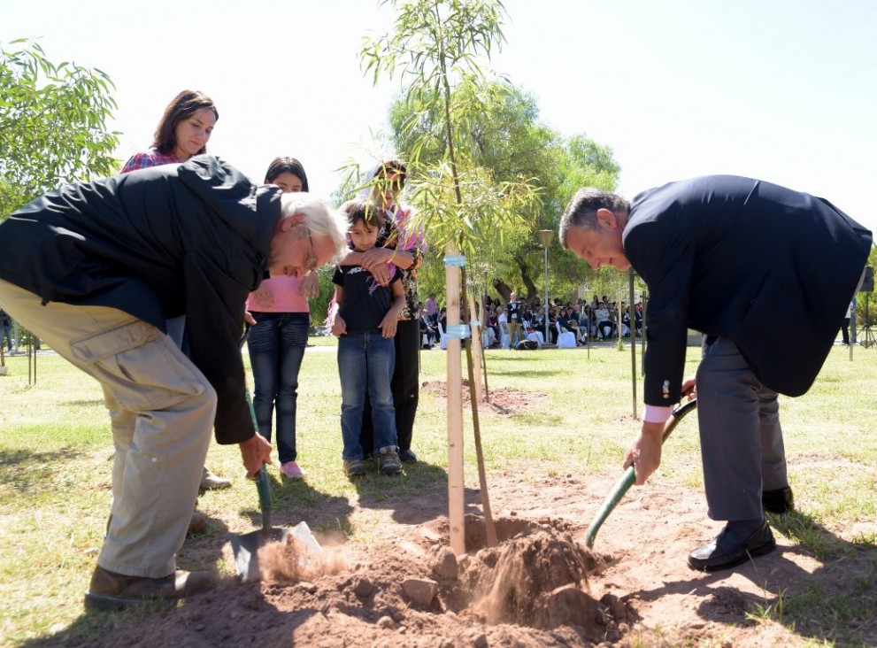 imagen Cuarenta eucaliptos dan vida al Paseo de la Memoria 