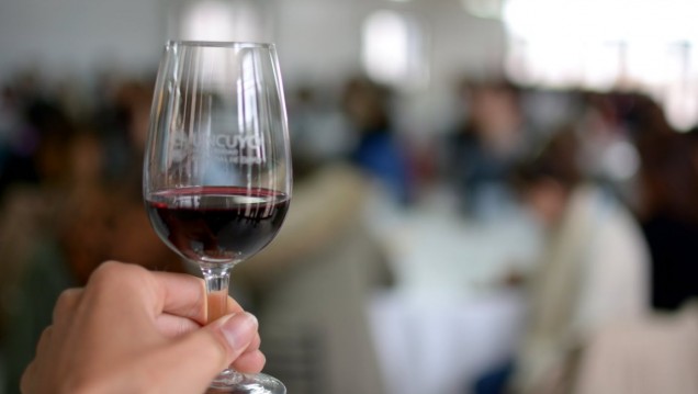 imagen Estudiantes aprenden a degustar vino