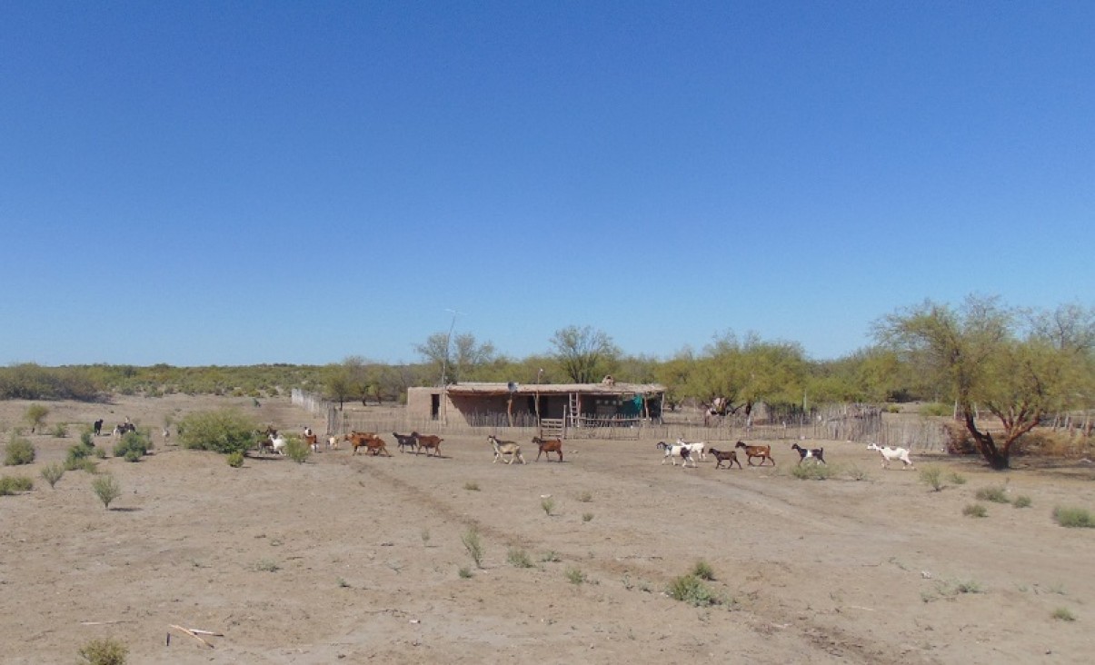 imagen Científicos chinos expondrán sobre desertificación