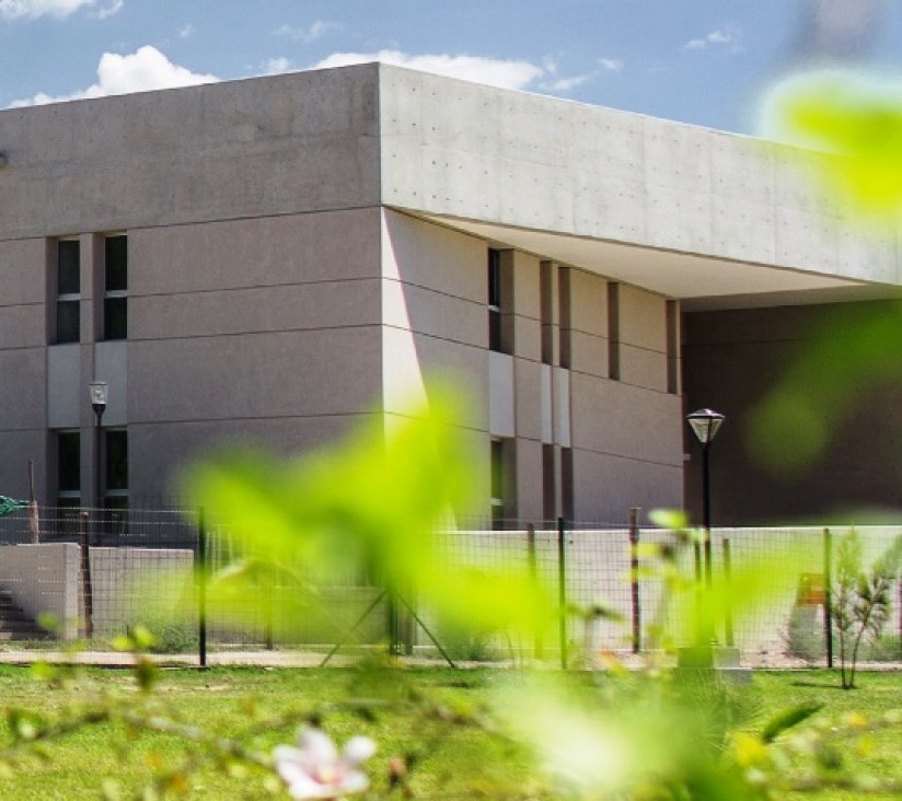 imagen Educación conmemora sus 25 años con la creación de un espacio verde en la sede campus