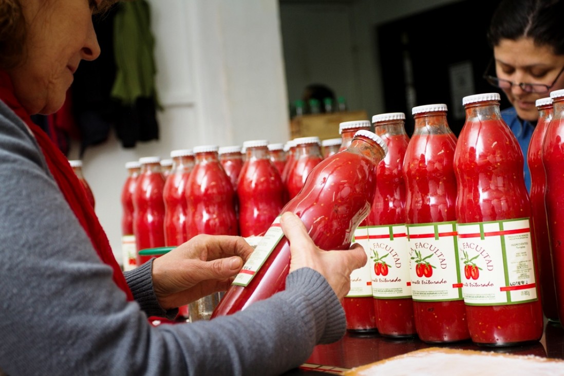 imagen Ciencias Agrarias participará en feria de alimentos y bebidas saludables