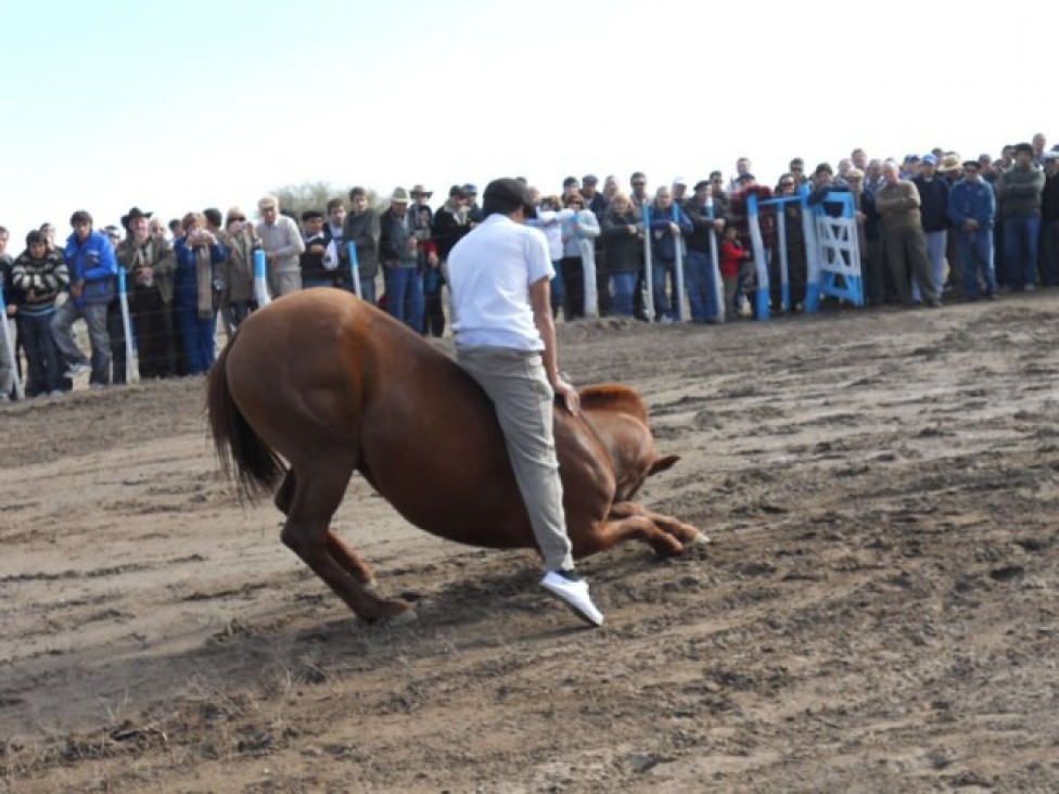 imagen La UNCuyo participa en la Fiesta Ganadera de Santa Rosa