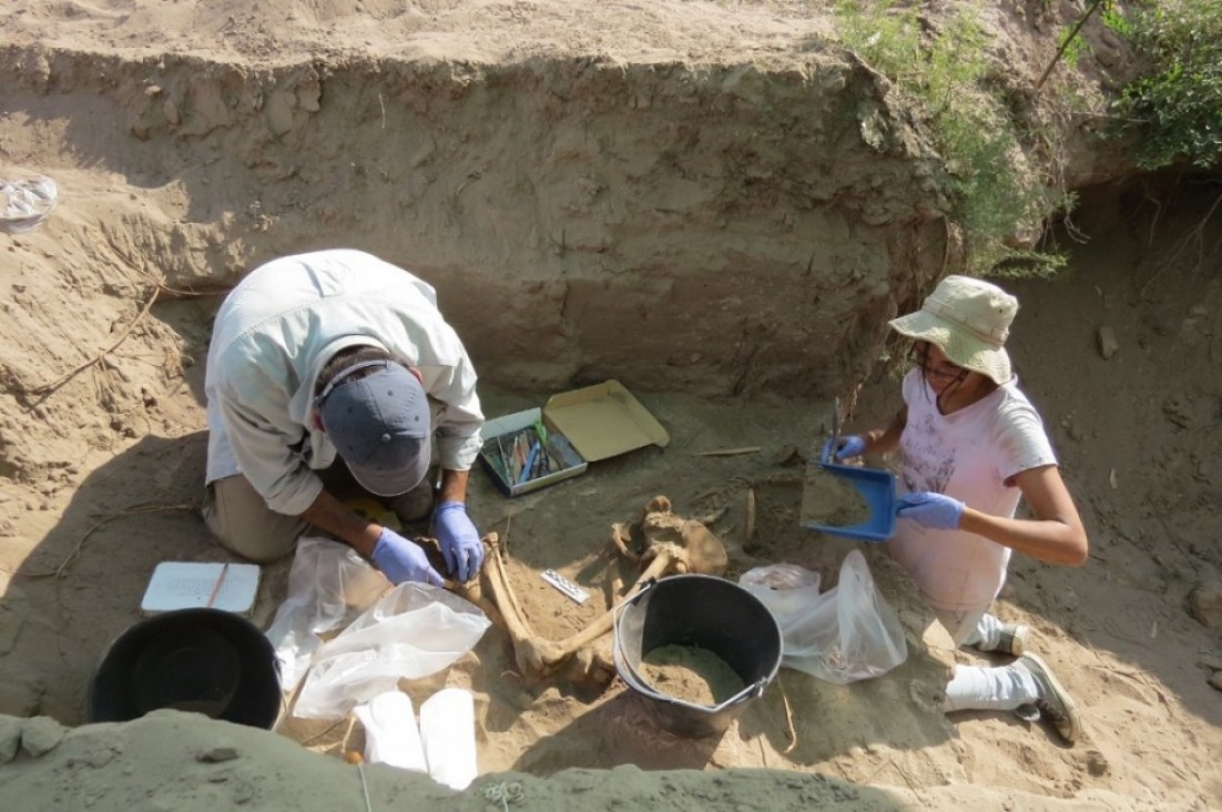 imagen La UNCUYO colaborará con el Equipo Argentino de Antropología Forense 