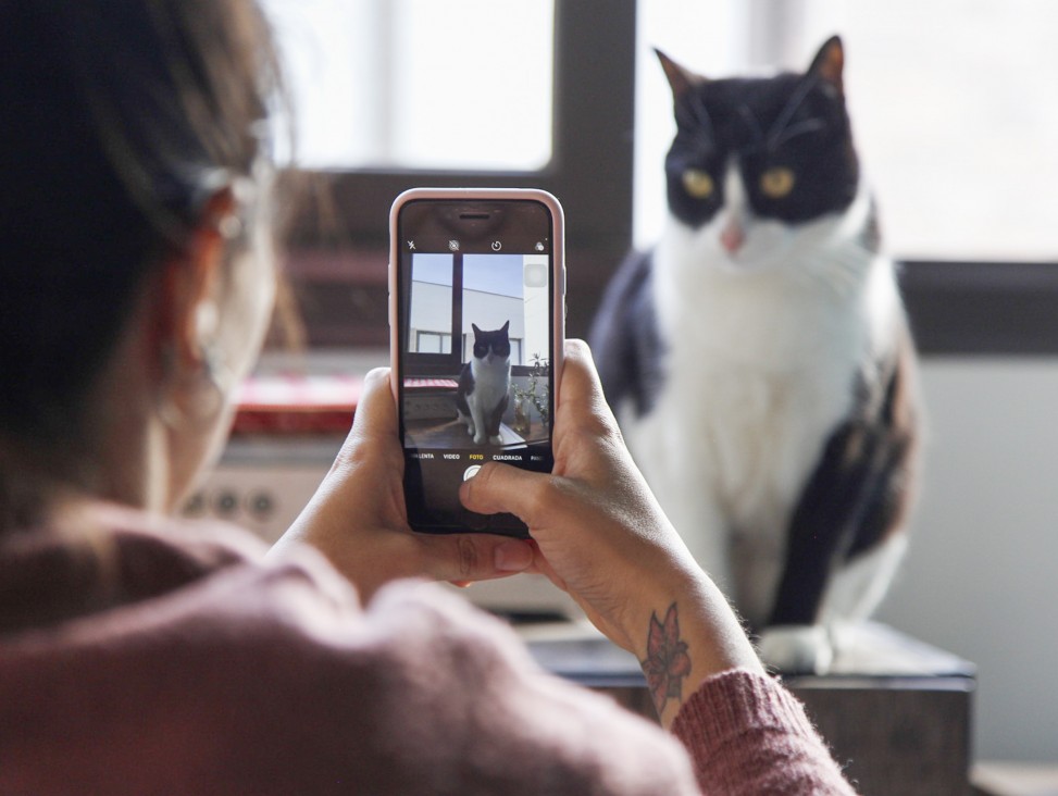 imagen Fotografía con celular y Redes sociales: dos talleres virtuales para estudiantes