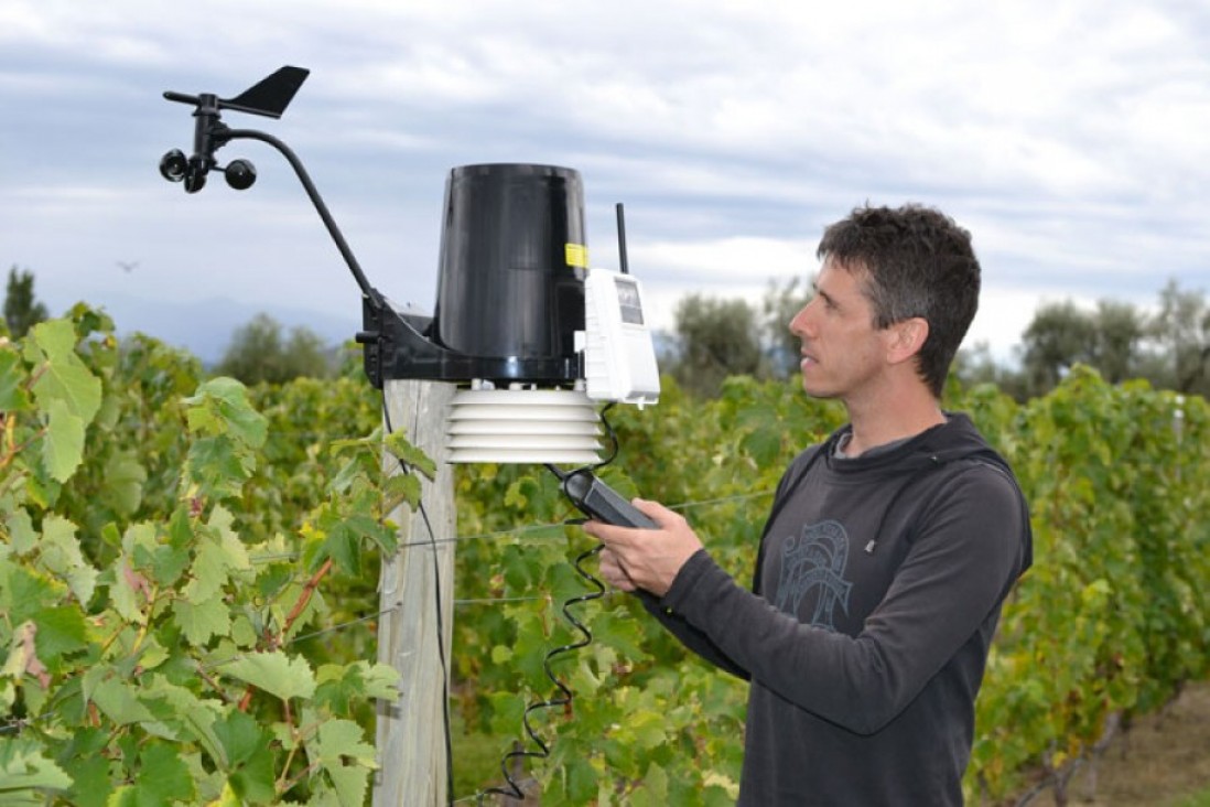 imagen Cambio climático y vitivinicultura en la mirada de un científico francés