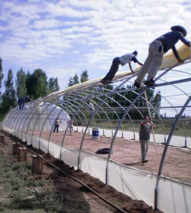 imagen Área de Territorialización inauguró invernadero de especies hortícolas en Lavalle