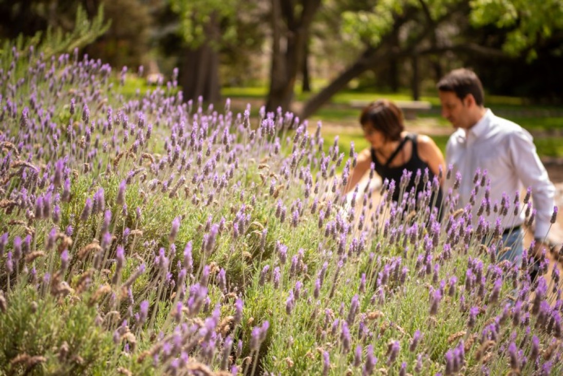 imagen El Jardín Botánico de Agrarias es patrimonio cultural e histórico de la Universidad