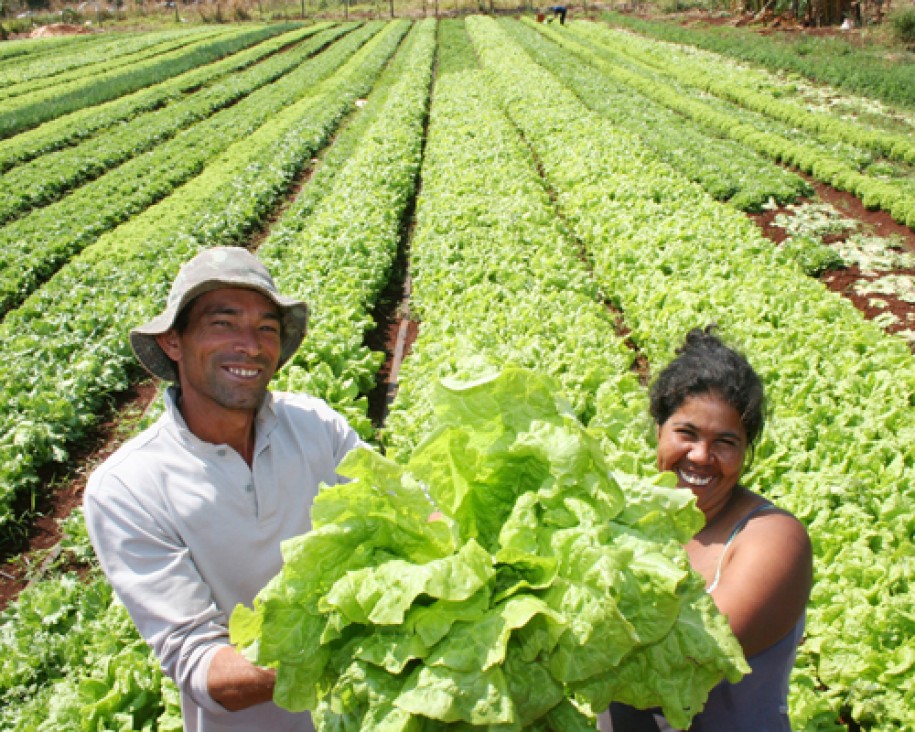 imagen Realizan en Ciencias Agrarias Jornadas por la Producción Familiar