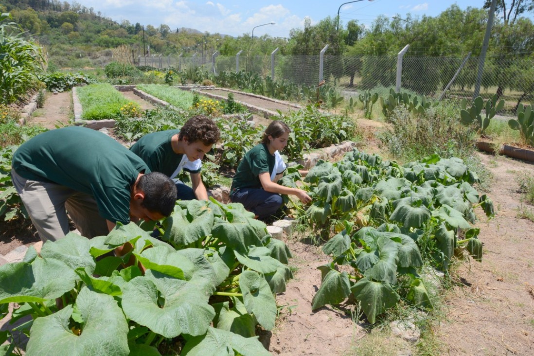 imagen Liceo Agrícola abrirá sus puertas