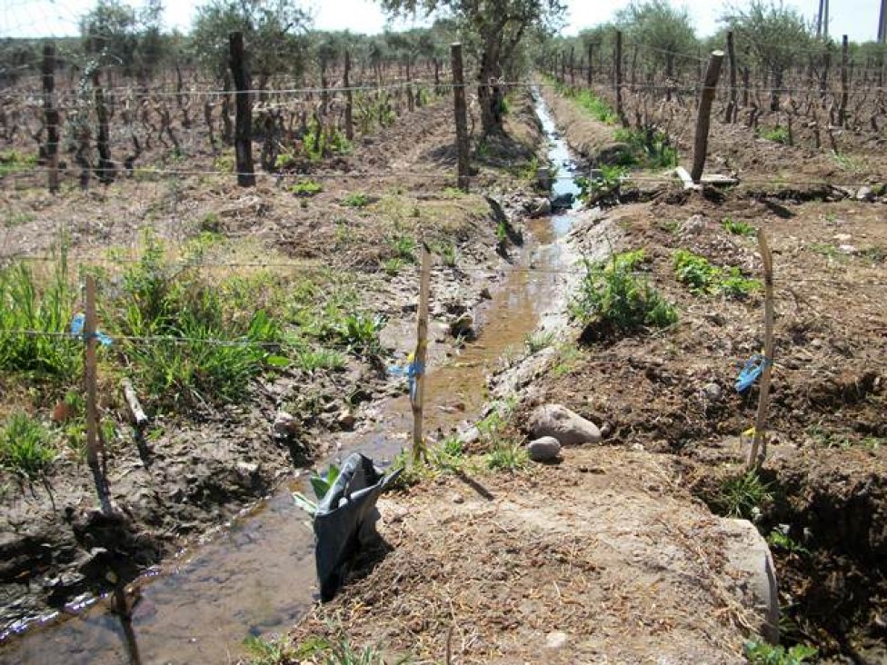 imagen Maestría en Riego y Drenaje: una trayectoria de más de 20 años