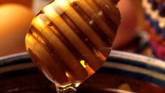 imagen Jornada en la Legislatura: la miel, su producción y cualidades nutricionales