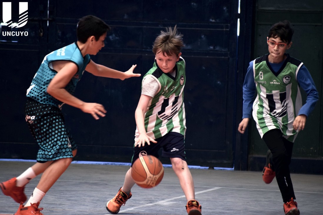 imagen La Universidad será sede de un festival de Minibasquet