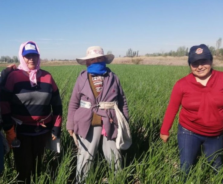 La Ruralidad Tiene Cara De Mujer Testimonios Y Reflexiones En Su Día Prensa Uncuyo 7340