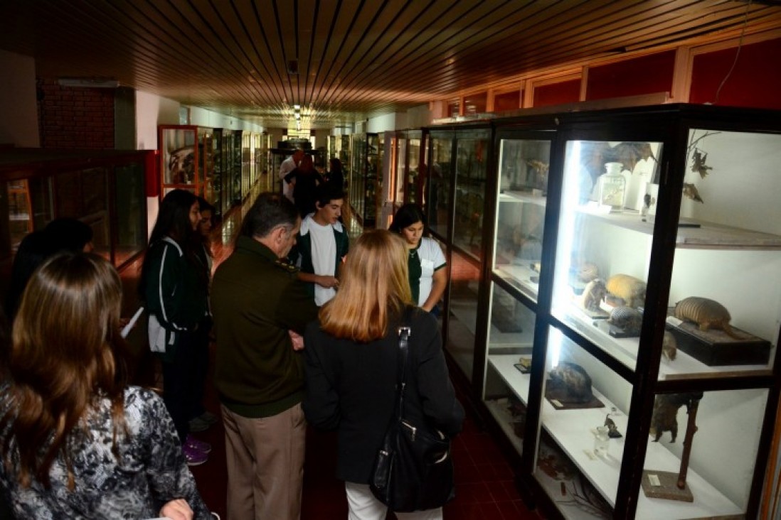 imagen La Universidad abrirá las puertas de sus museos