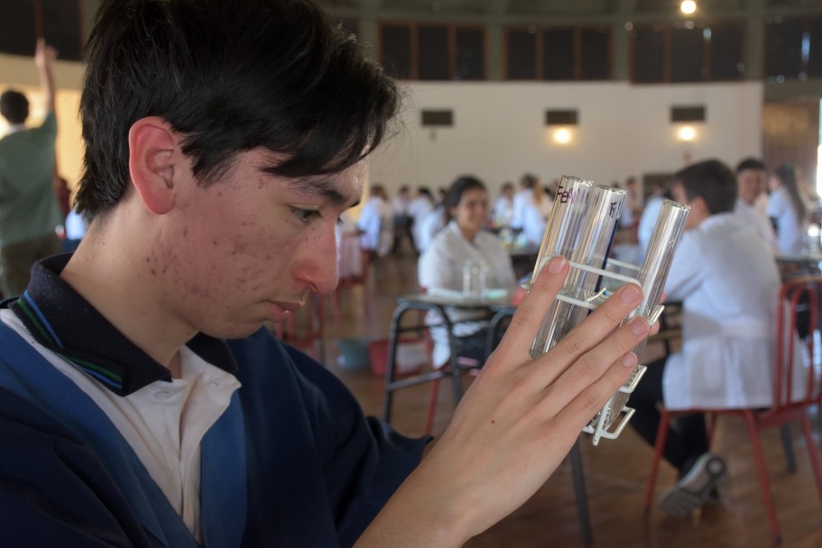 imagen Más de 300 chicos de todo el país exploran en ciencia en la UNCuyo