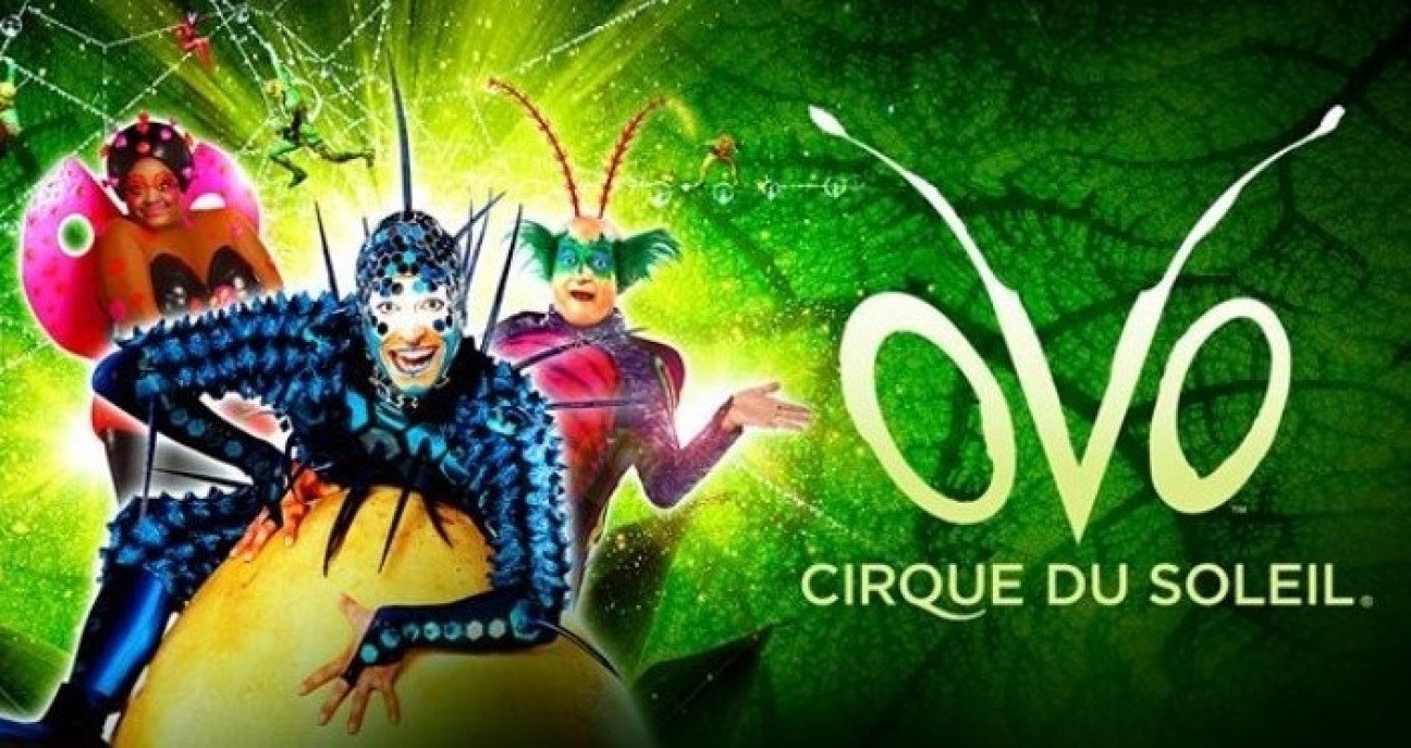 imagen El Cirque du Soleil invita a la comunidad de la UNCUYO a ver "OVO" a precios rebajados