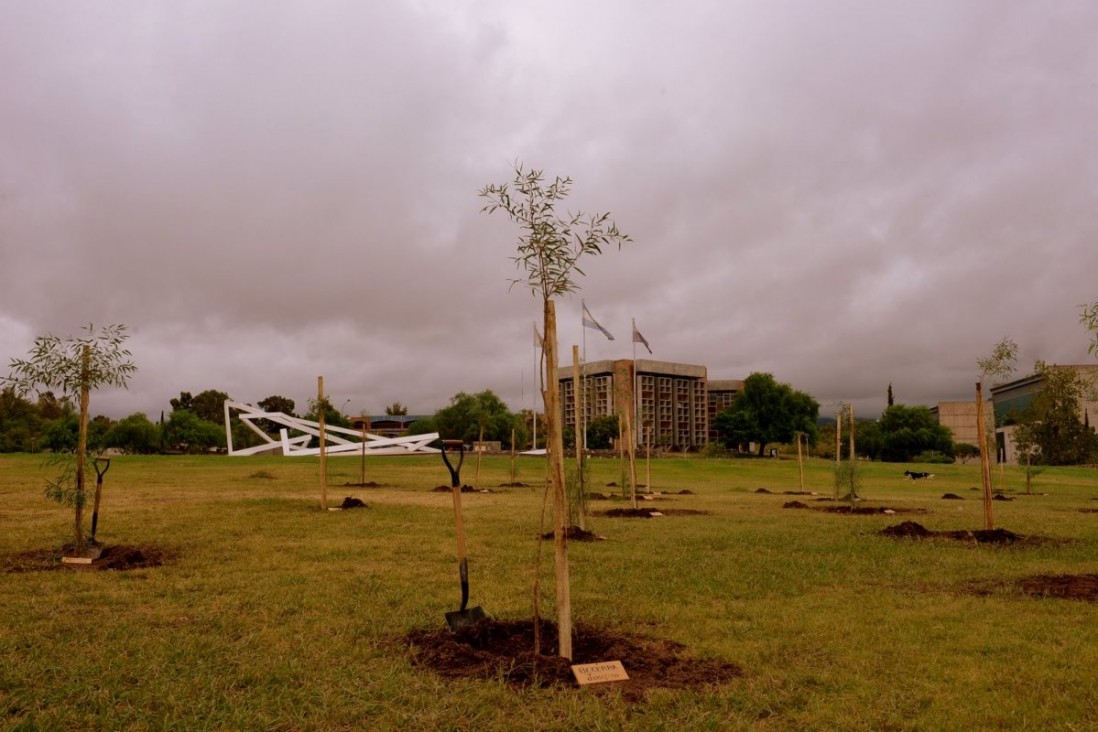 imagen Plantarán árboles por la memoria 